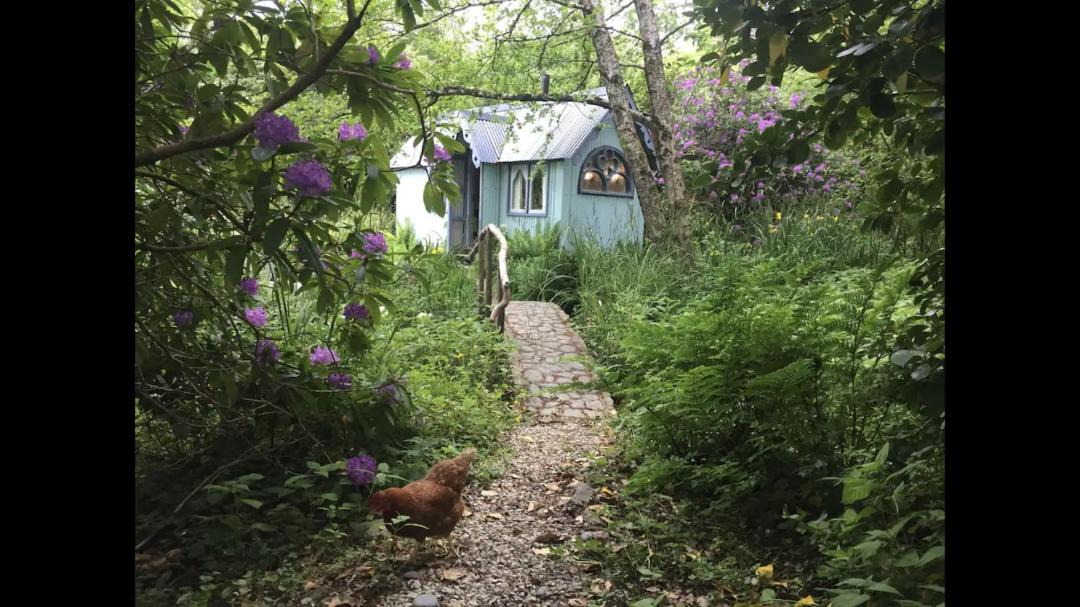 Photo of Others in Bude