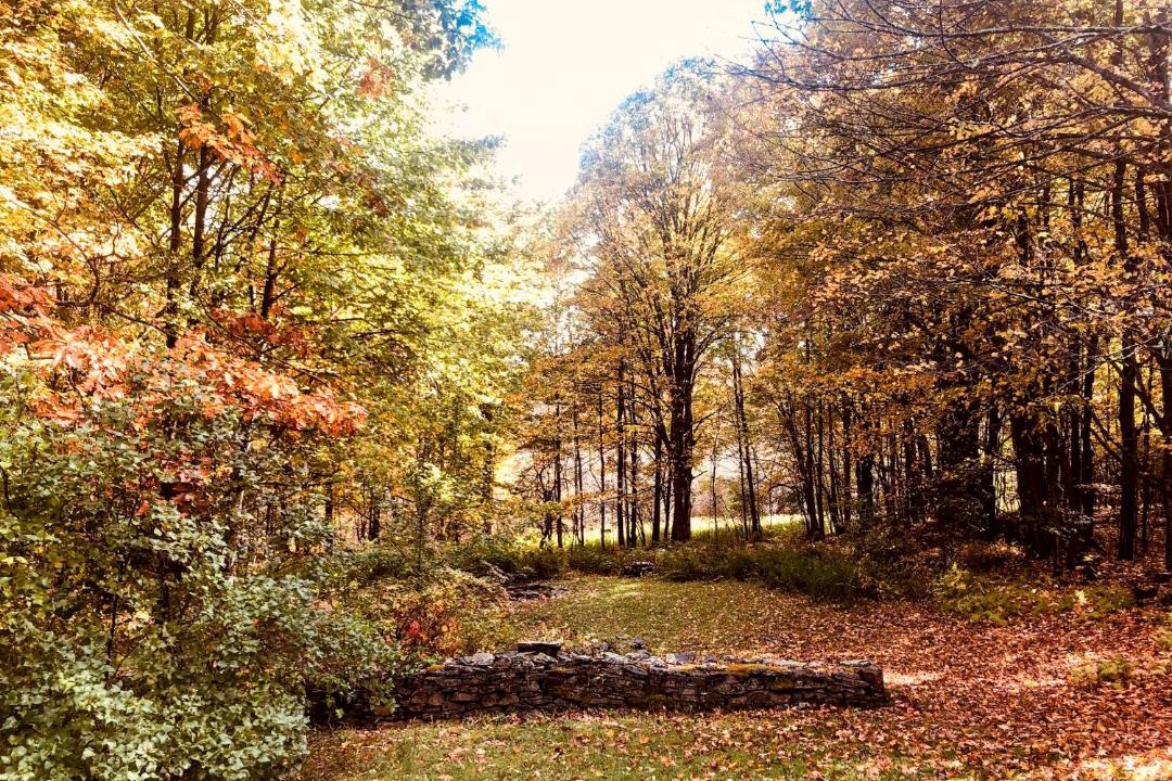 Photo of Others in Bloomville