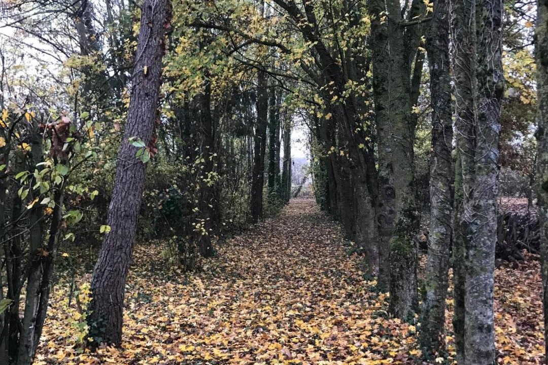 Photo of Others in Lorcy