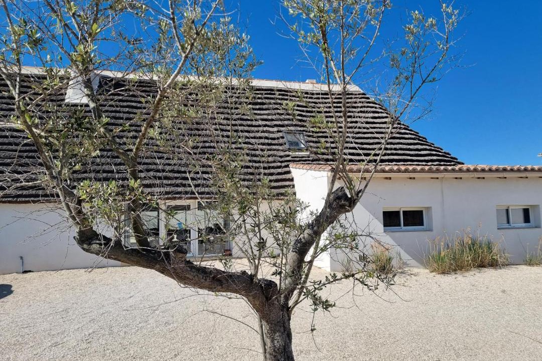 Photo of Others in Saintes-Maries-de-la-Mer