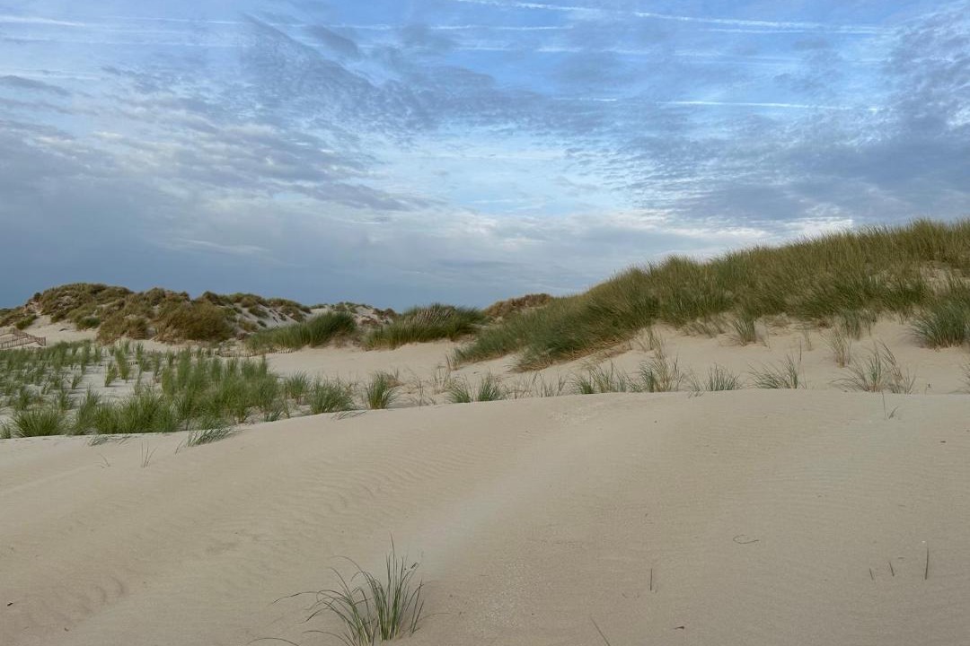Photo of Others in Merlimont-Plage