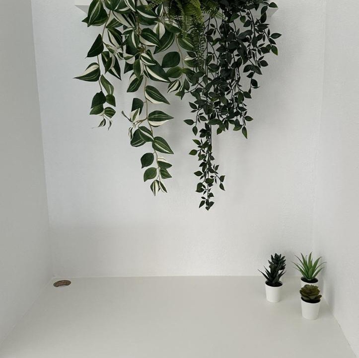 Photo of Others in Gresswiller