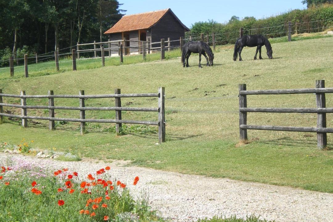 Photo of Others in Bezinghem