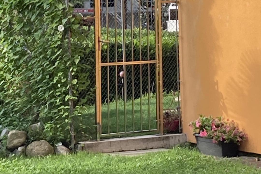 Photo of Others in Minusio
