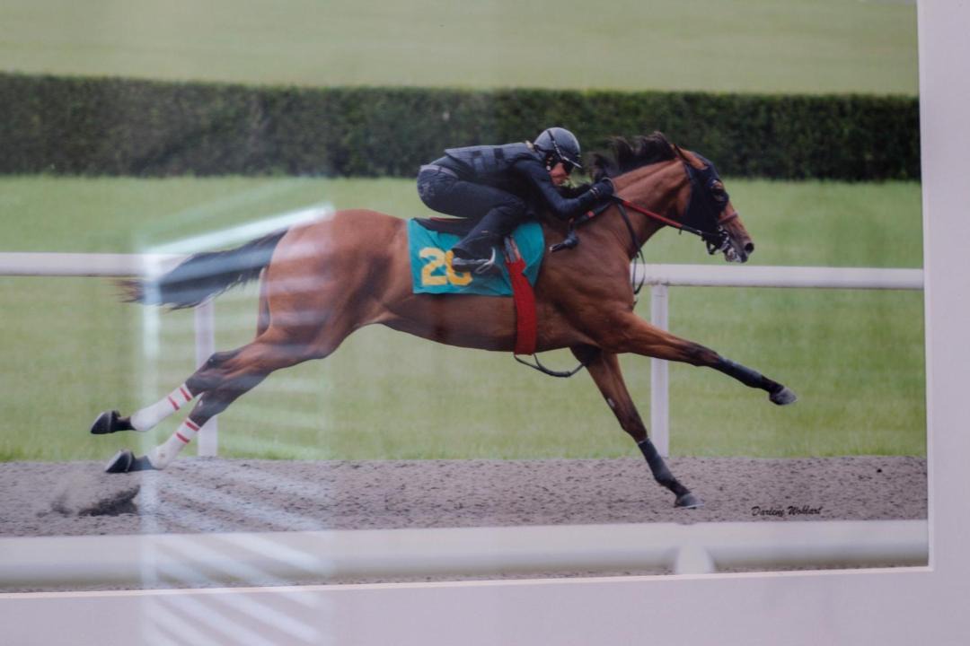 Photo of Human In Picture in Speed