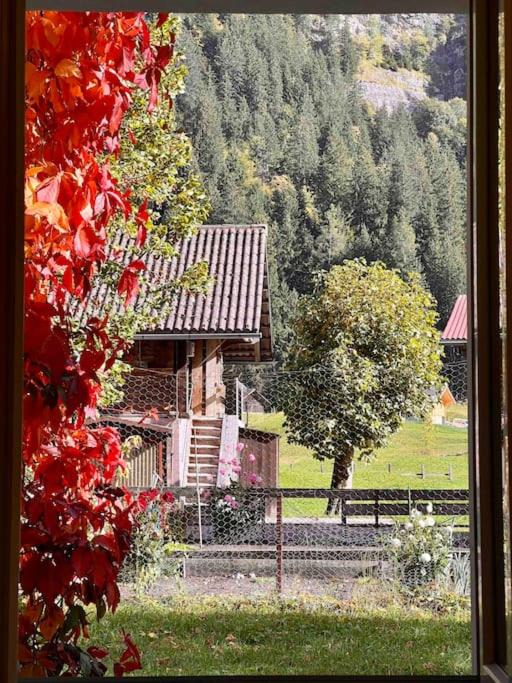 Photo of Others in Kandersteg