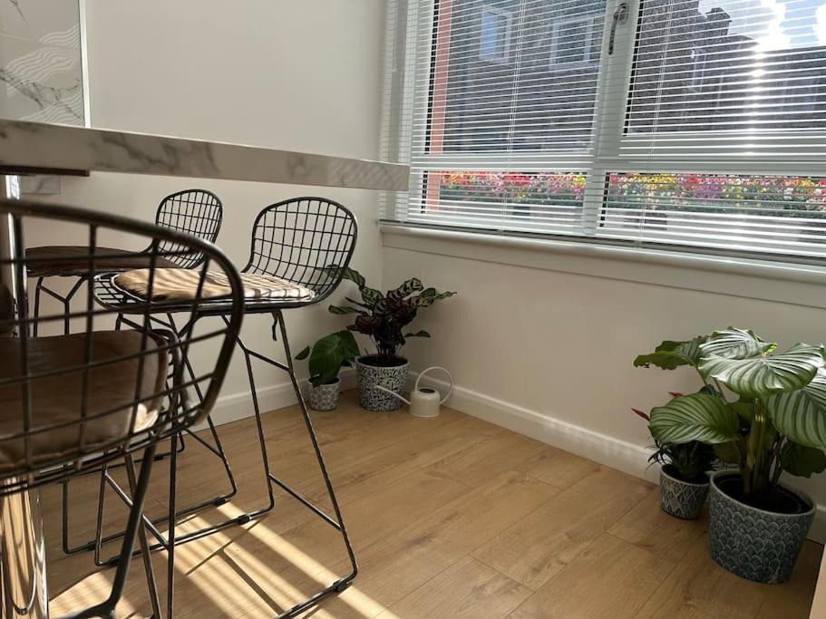 Photo of Others in Munster