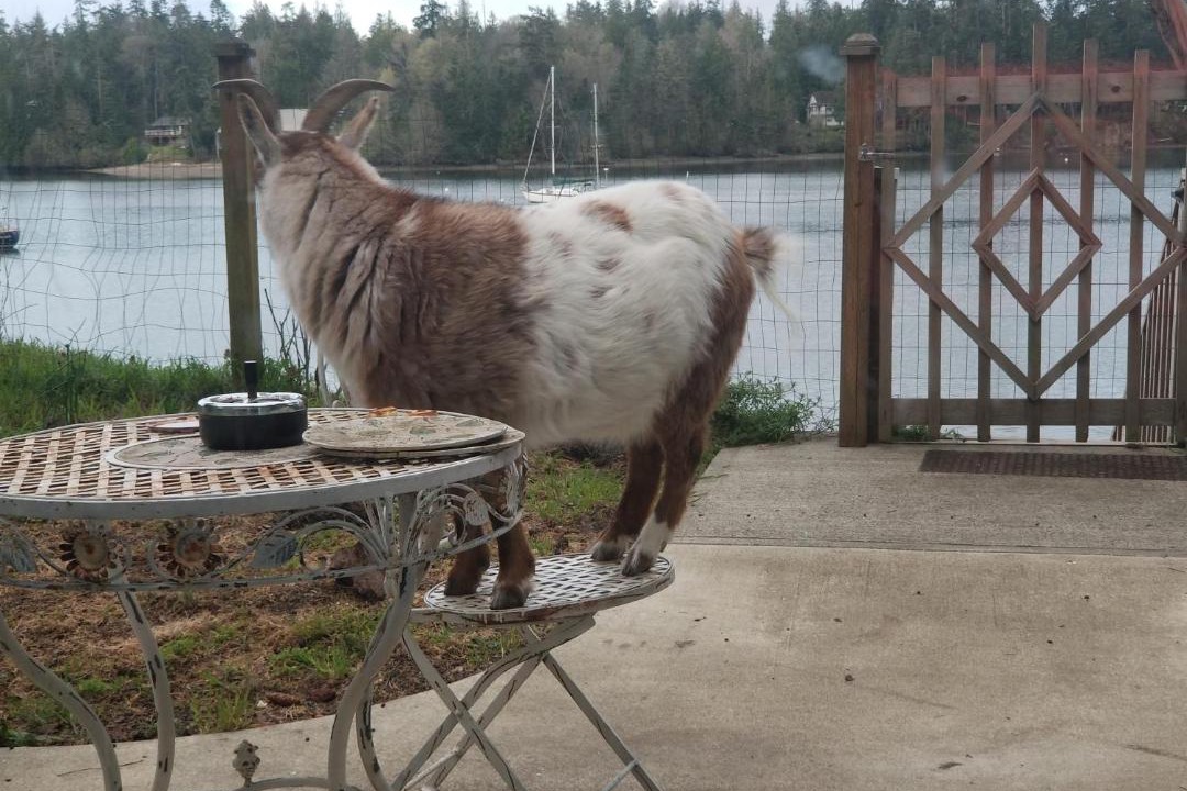 Photo of Others in Marrowstone