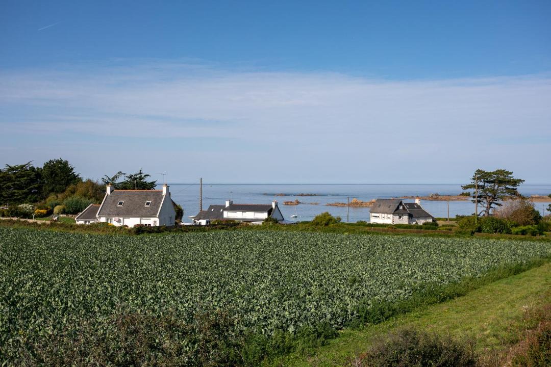 Photo of Others in Pleubian