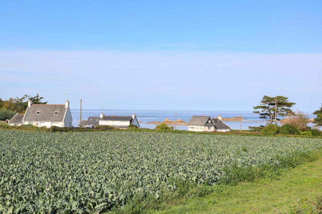 Photo of Others in Pleubian