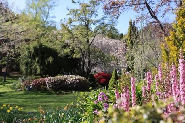 Photo of Others in Mount Wilson