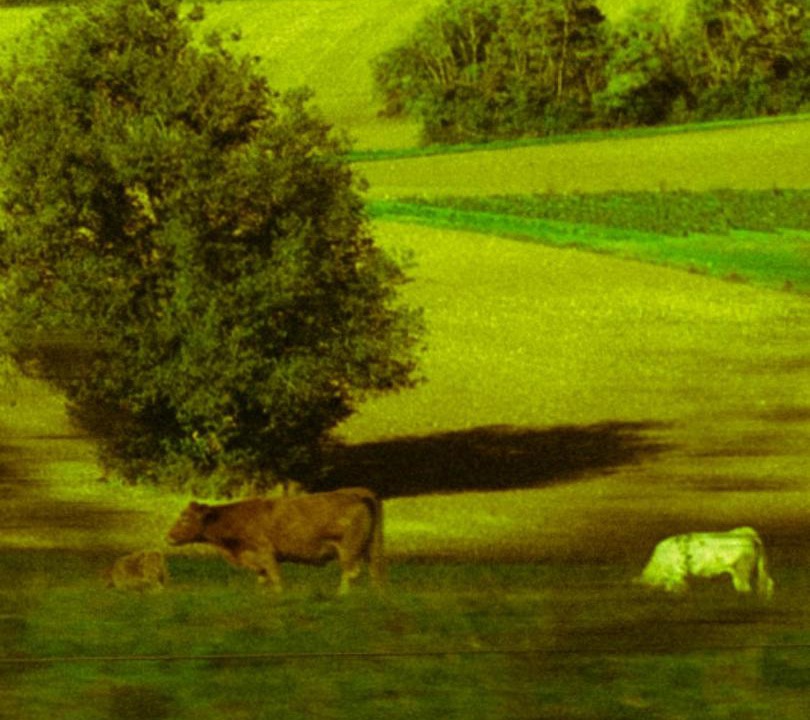 Photo of Others in Lainsecq