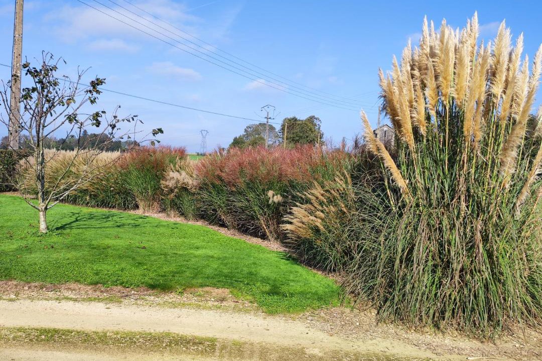 Photo of Outdoor in Briec