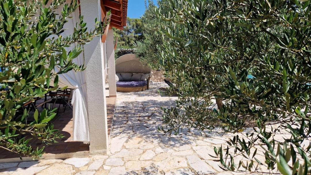 Photo of Others in Sibenik