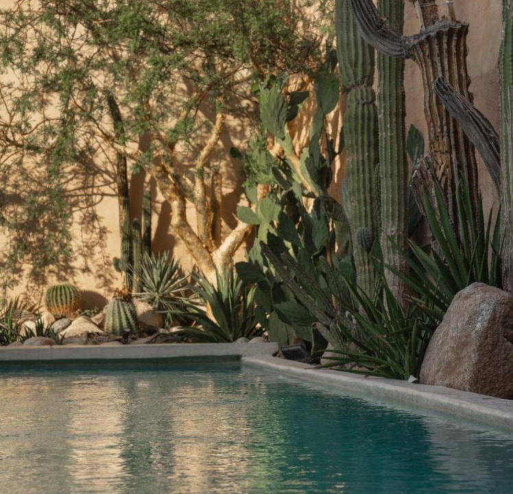 Photo of Others in Esterito