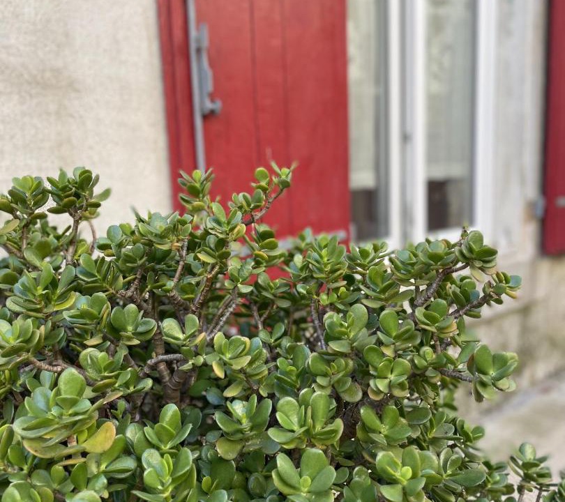 Photo of Others in Missegre