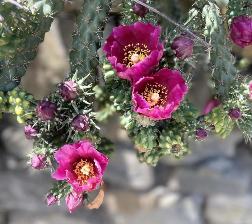 Photo of Others in Missegre