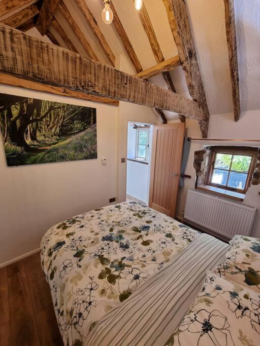 Photo of Others in Norden