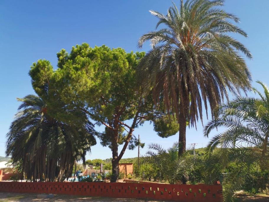 Photo of Others in Sagunto