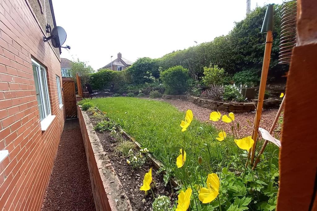 Photo of Others in Hexham