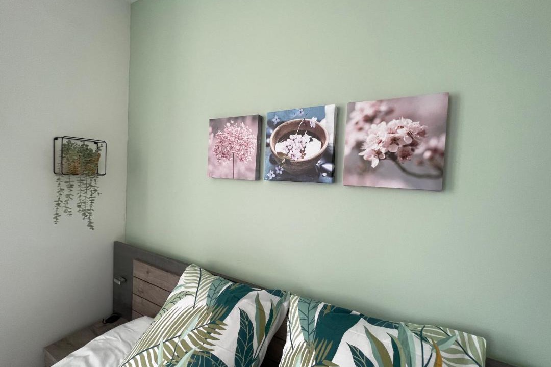 Photo of Others in Accolay