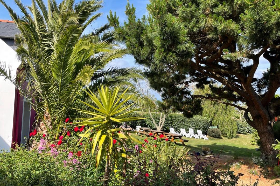 Photo of Others in Sauzon