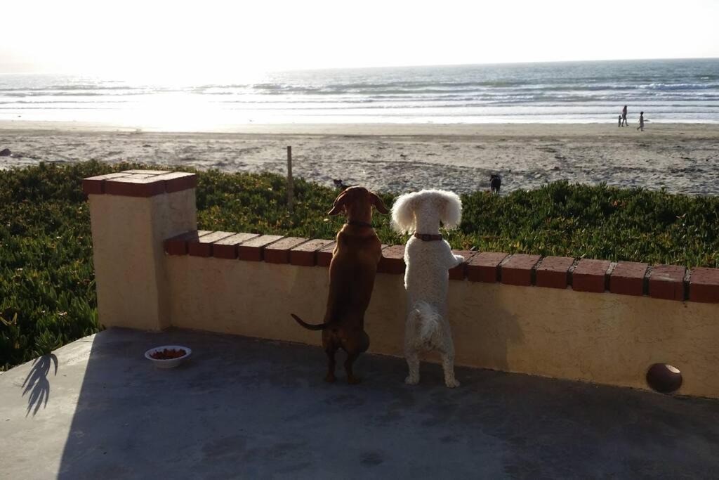 Photo of Others in Lengueta Arenosa