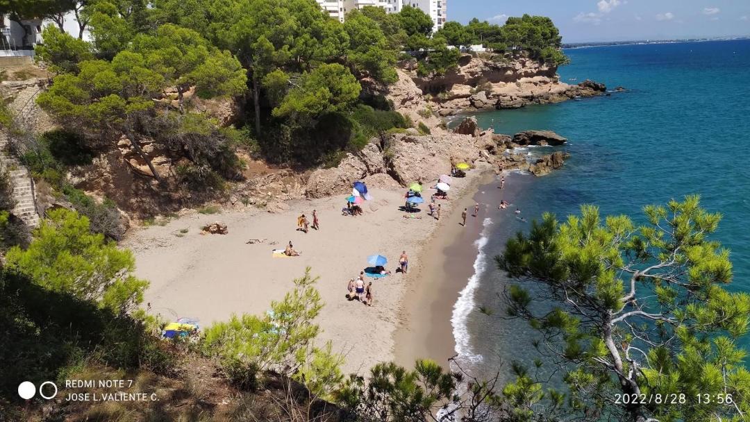 Photo of Others in Miami Platja