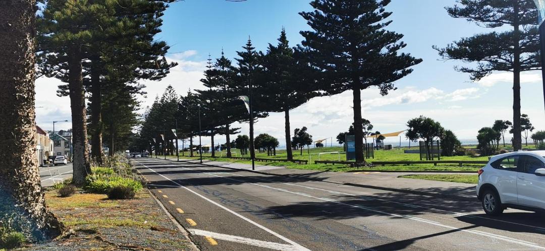 Photo of Others in Napier