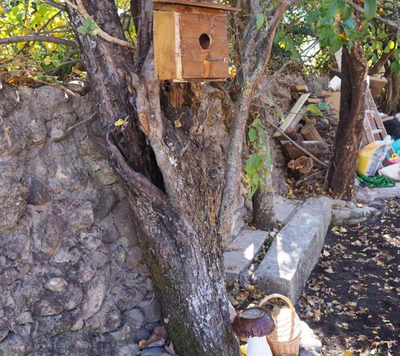 Photo of Others in Pinilla del Valle