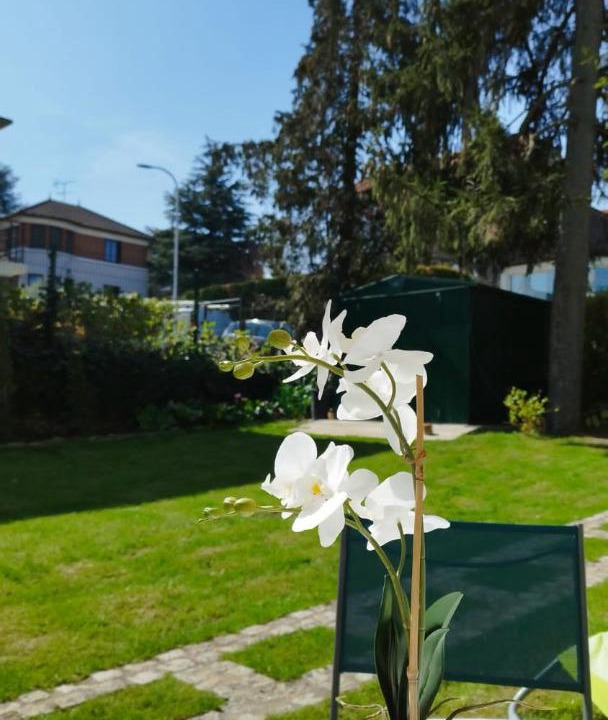 Photo of Others in Orly