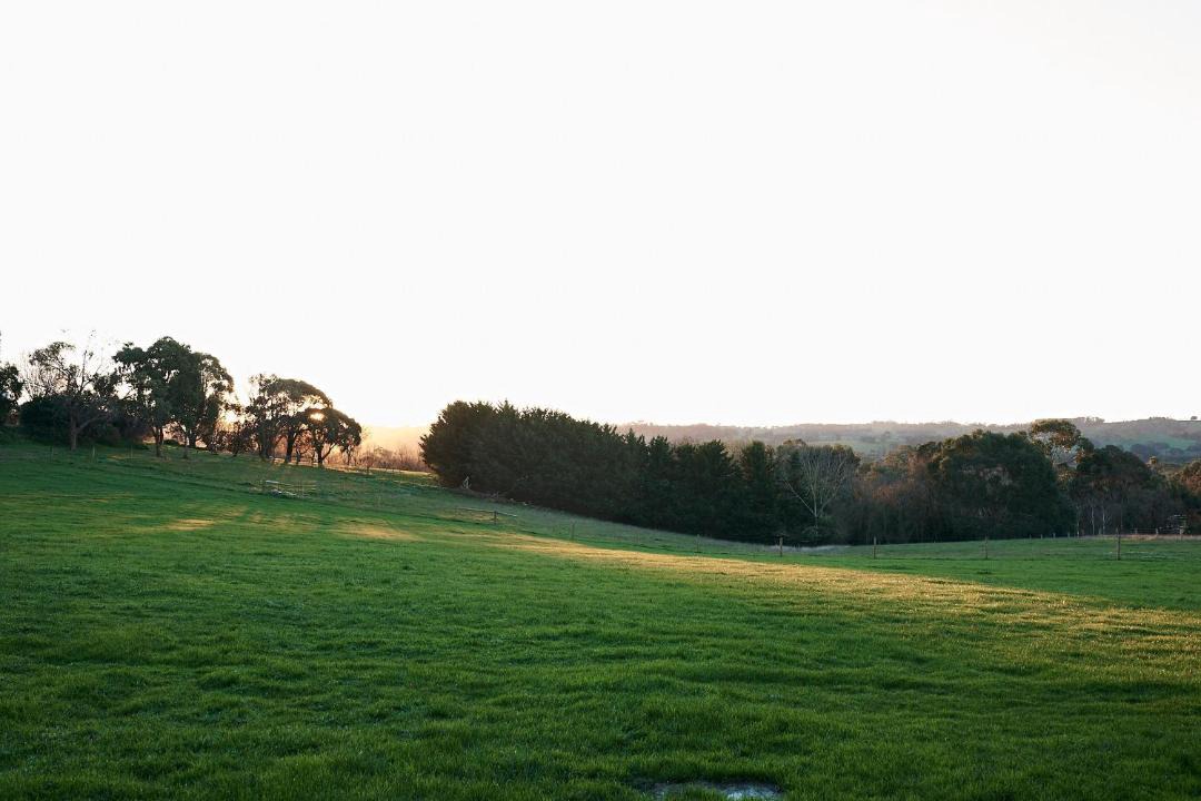 Photo of Outdoor in Meeniyan