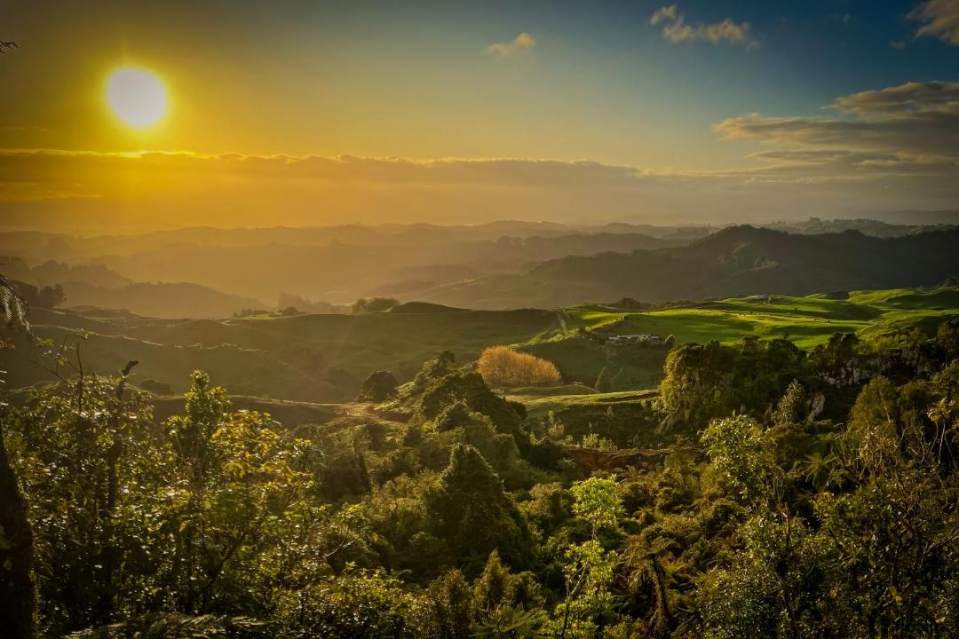 Photo of Others in Waitomo Caves