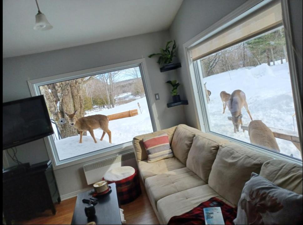 Photo of Livingroom in Duhamel