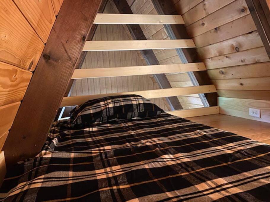 Photo of Others in West Dover