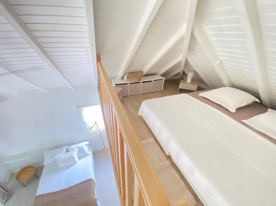 Photo of Others in Concordia