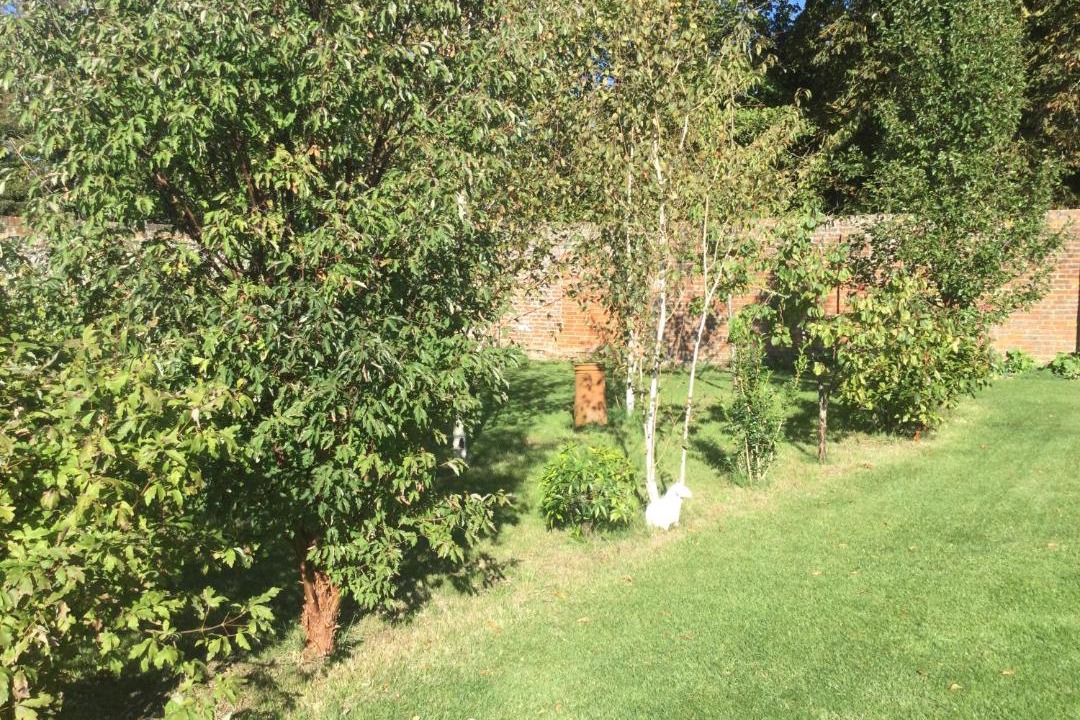 Photo of Others in Great Chishall