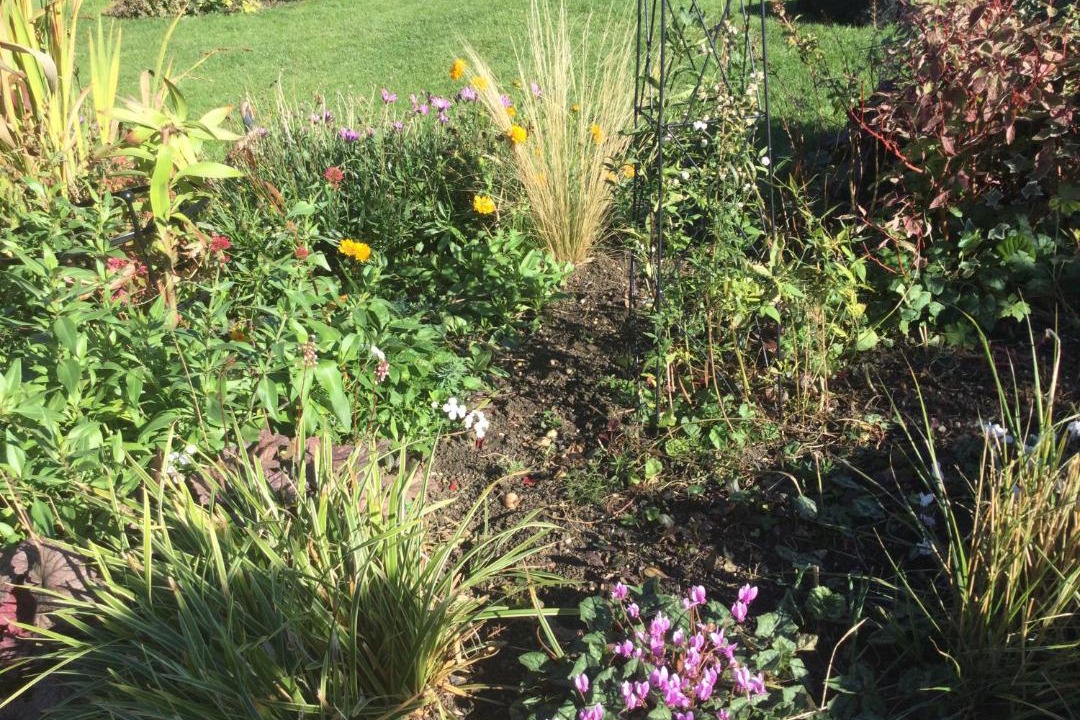 Photo of Others in Great Chishall