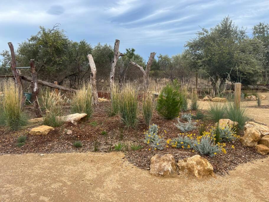 Photo of Others in Willunga