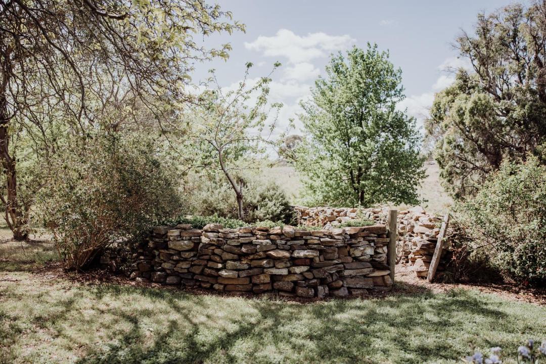 Photo of Others in Rylstone