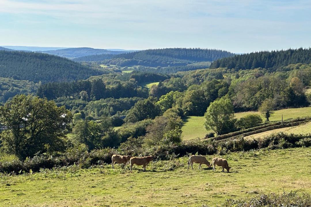 Photo of Others in Lavault-de-Fretoy