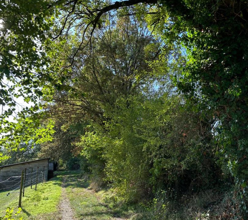 Photo of Others in Champniers