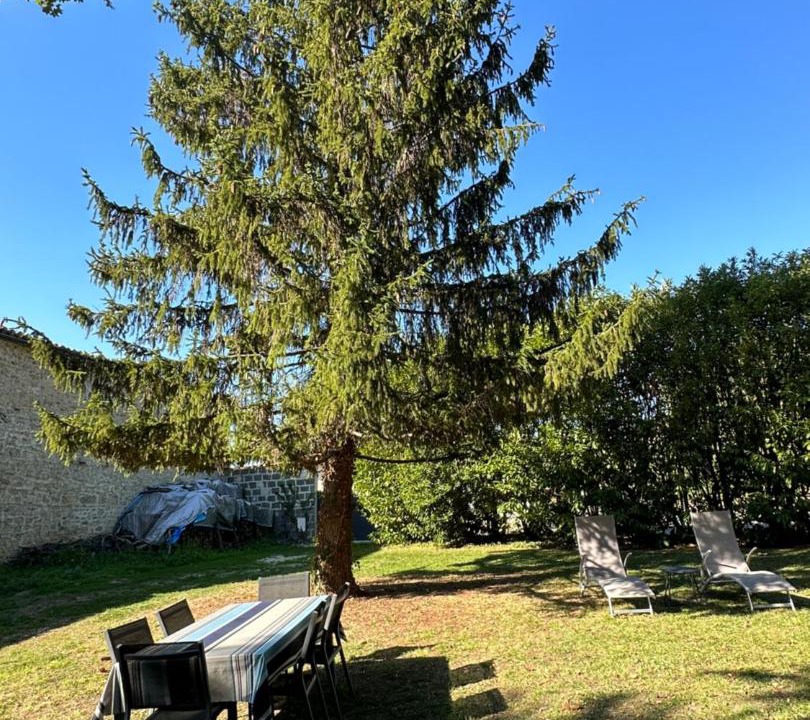 Photo of Others in Champniers