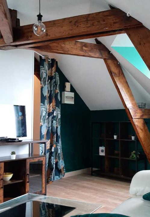 Photo of Others in Bellevue - Chantenay - Sainte-Anne