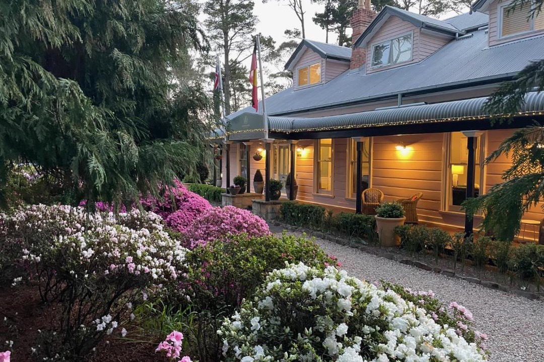 Photo of Others in Mount Victoria