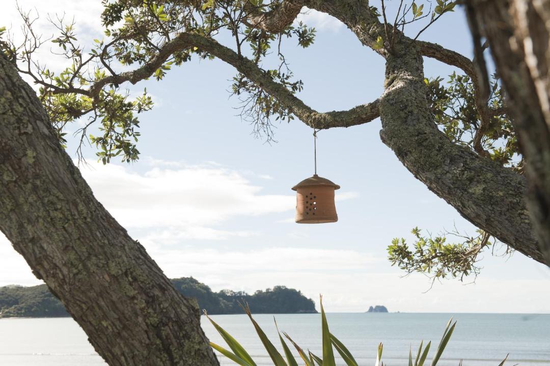 Photo of Others in Whitianga