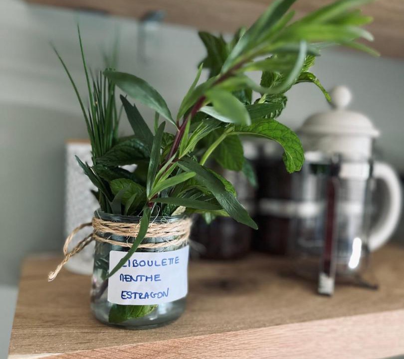 Photo of Others in Saint-Jean-des-Mauvrets