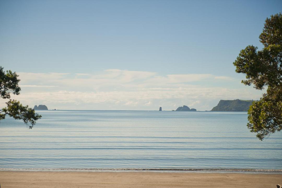Photo of Outdoor in Whitianga