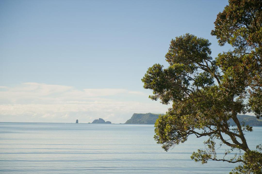 Photo of Outdoor in Whitianga
