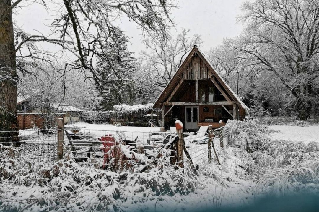 Photo of Others in Allons